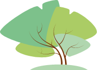 Baum